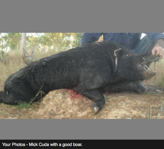 Screen Shot 2013-10-02 at 1.41.36 PM